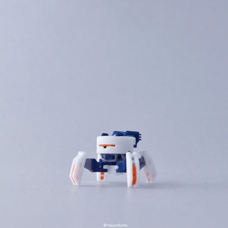 Neurobota Spark